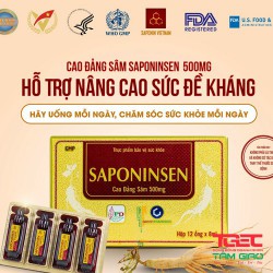 Cao đảng sâm SAPONINSEN 500Mg