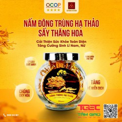 Nấm đông trùng hạ thảo khô