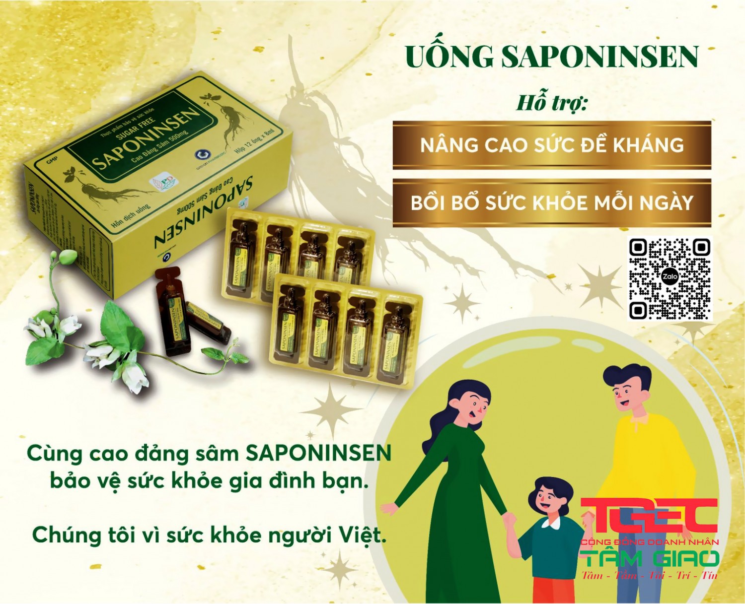 cong dung cua cao dang sam saponinsen 1